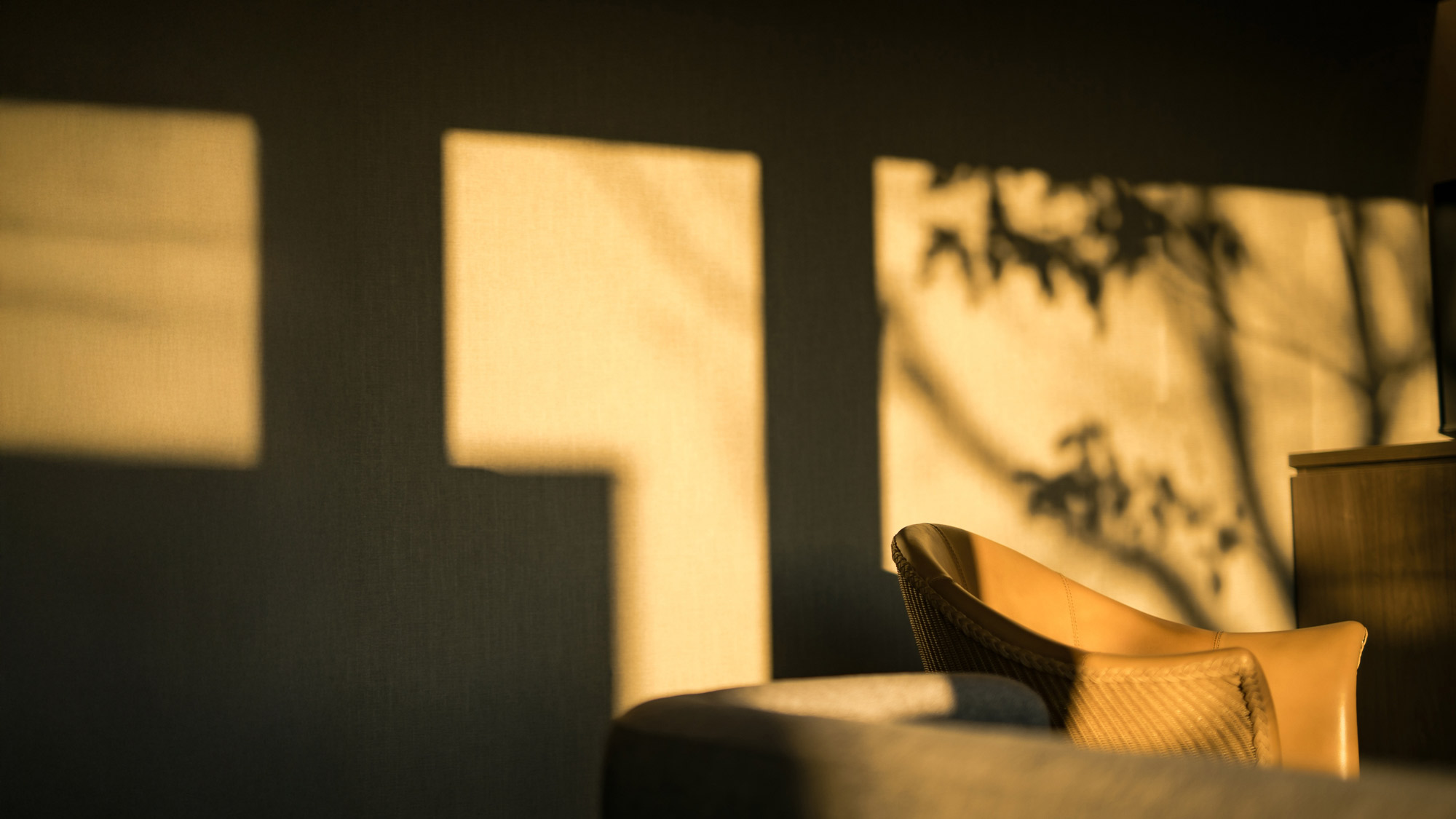 客室ディテール